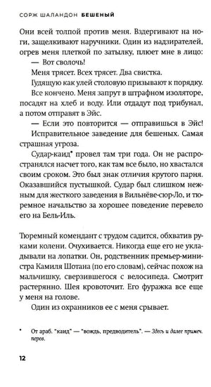 Текст романа с примечанием внизу страницы, страница 12