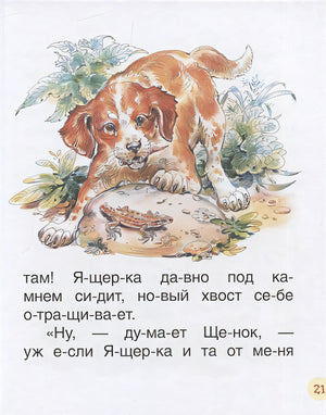 Бианки В. Рассказы о животных 978-5-353-09238-4 - 3