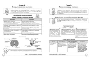 Разворот о покрытосеменных растениях и экологических факторах, страницы 14–15.