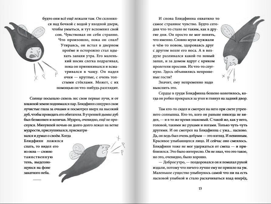 Разворот страниц 12–13 с текстом и рисунками Блидфинна.