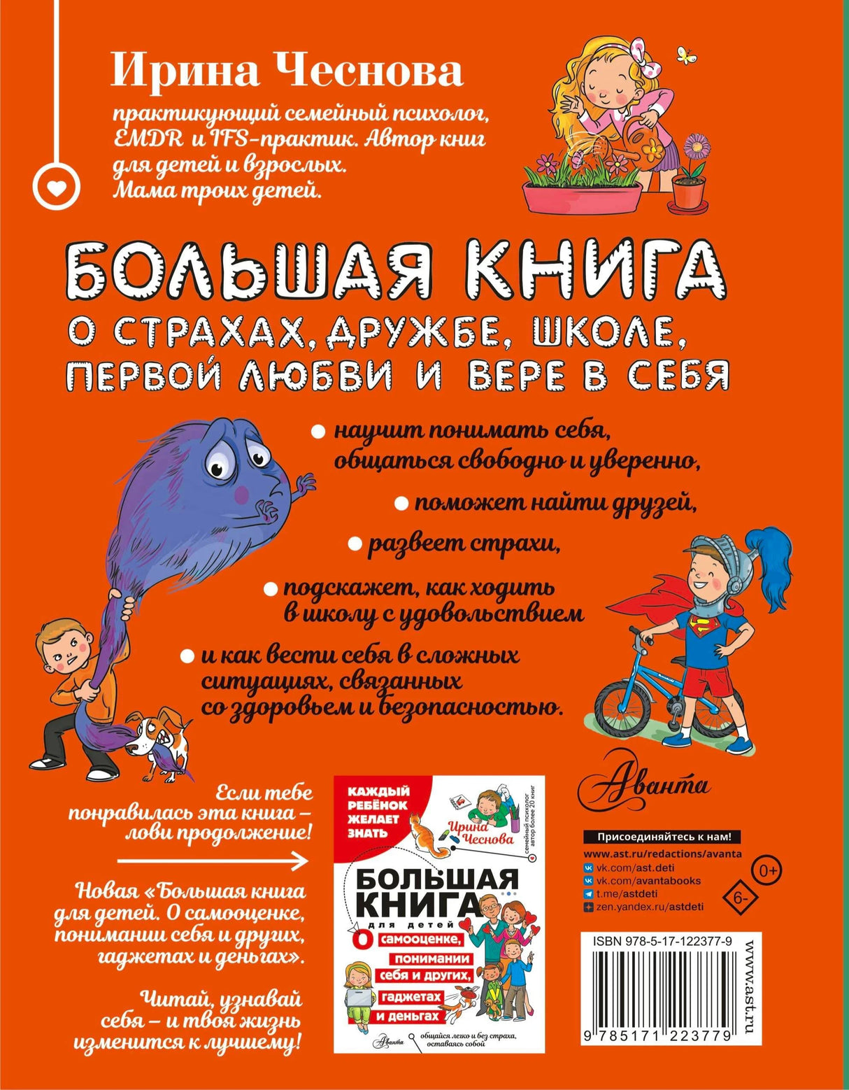 Задняя обложка книги Ирины Чесновой с описанием и ISBN