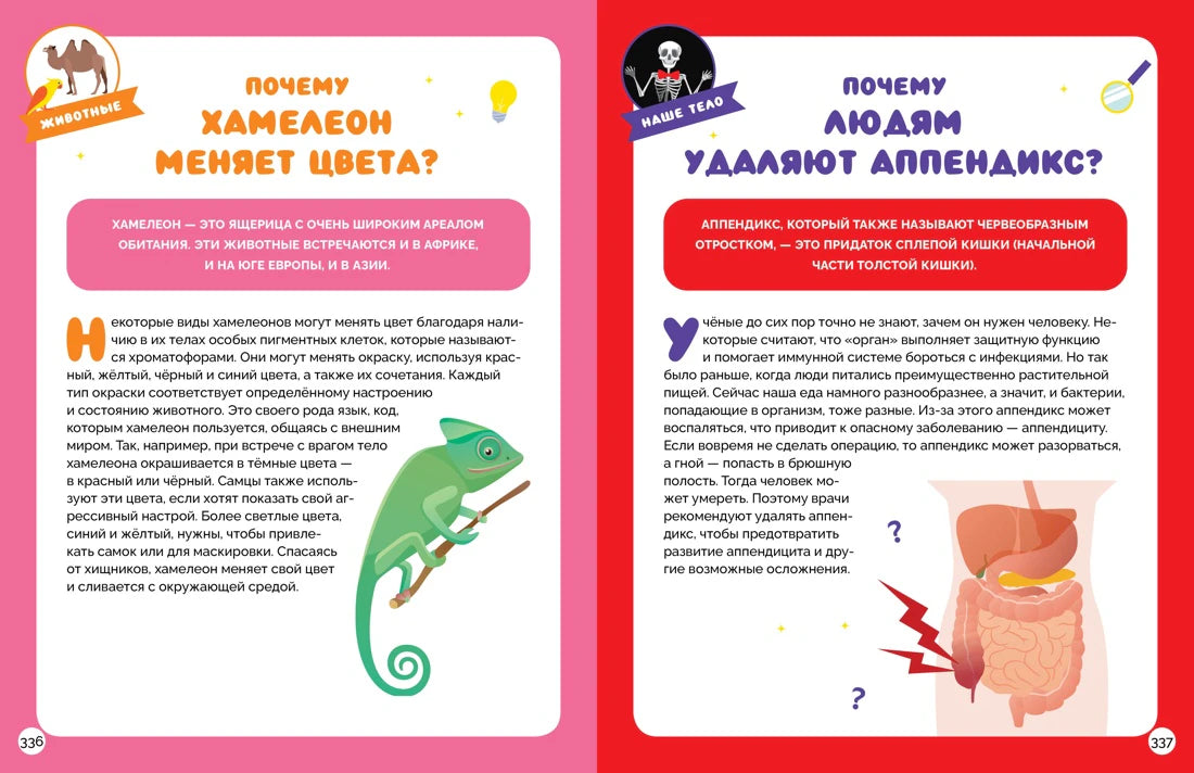 Разворот о хамелеоне и аппендиксе, страницы 336–337