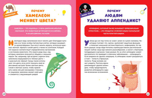 Разворот о хамелеоне и аппендиксе, страницы 336–337