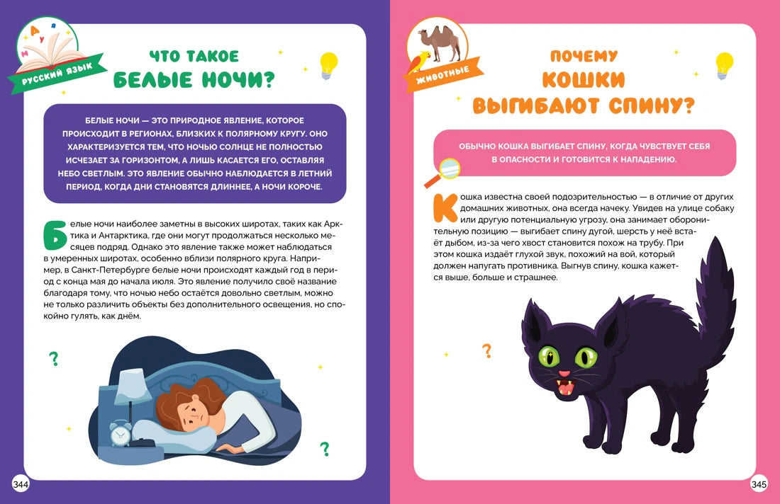 Разворот о белых ночах и повадках кошек, страницы 344–345