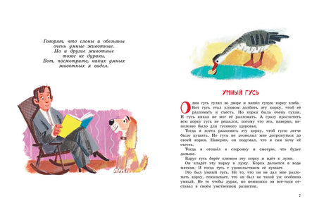 Разворот с рассказом «Умный гусь» и рисунками гуся, мужчины и собаки.