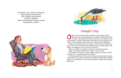 Разворот рассказа «Умный гусь» с рисунками гуся, мужчины и собаки