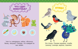 Разворот о пище животных и птицах с цветными рисунками.