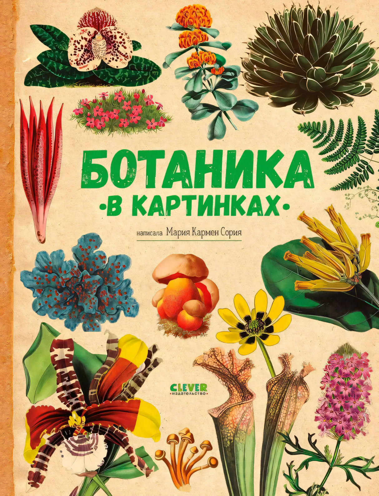 Ботаника в картинках null - 0