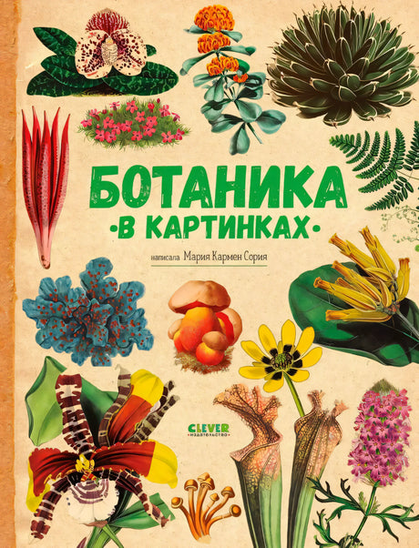 Ботаника в картинках null - 0