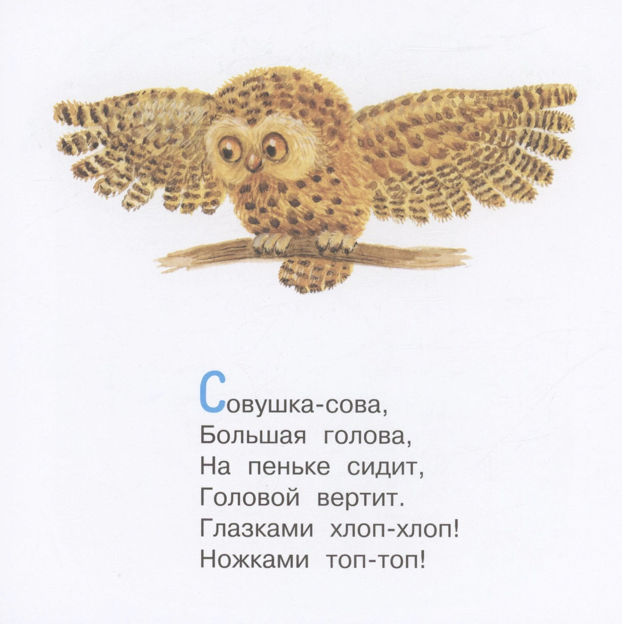 Божья коровка. Потешки для самых маленьких 9785171566708