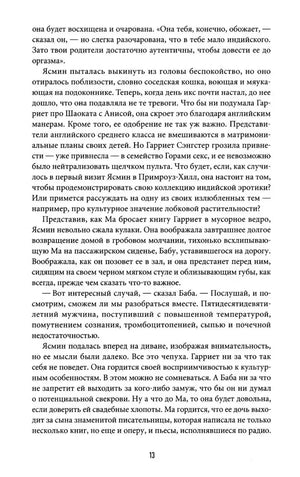 Страница 13 с фрагментом романа.