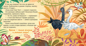 Братик  меня любит 978-5-00211-155-8 - 3