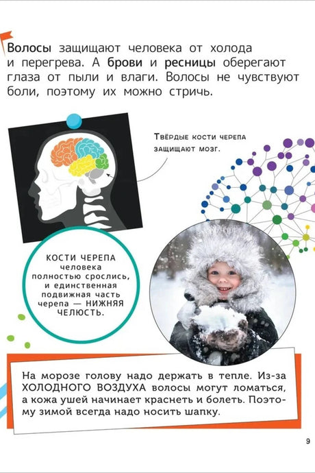 Страница 9 о волосах, черепе и защите головы от холода.