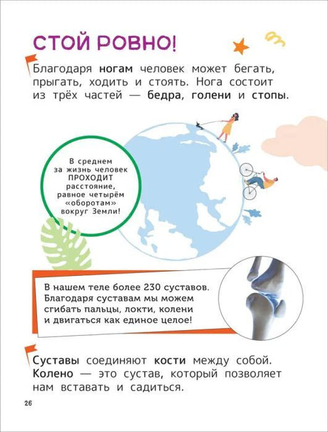 Страница «Стой ровно!» о ногах, суставах и движении человека.