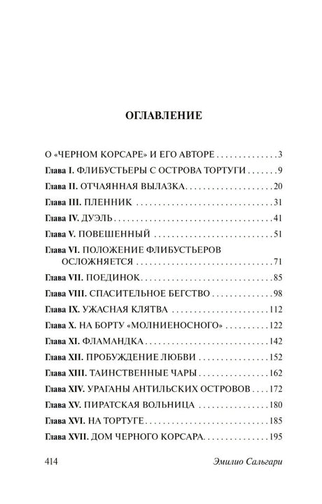 Черный корсар null - 2