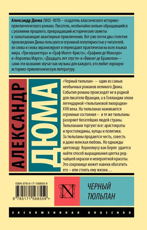 Плоская задняя обложка книги с аннотацией, ISBN и оформлением серии.