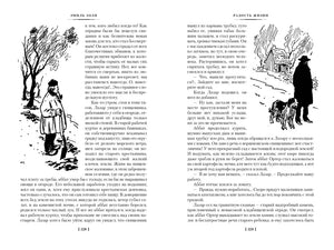 Разворот «Радости жизни», страницы 528–529, с рисунками человека и дома.