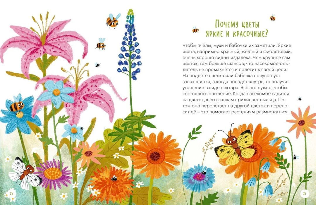 Разворот о том, почему цветы яркие и красочные.
