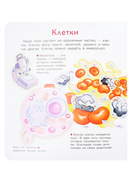 Что? Почему? Зачем? Наше тело. 36 волшебных окошек 978-5-465-04029-7 - 0