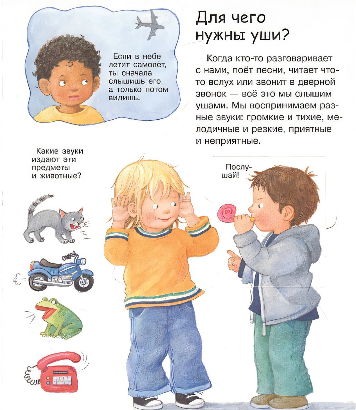 Что? Почему? Зачем? Вижу, слышу, чувствую (с волшебными окошками) 978-5-465-04374-8 - 1