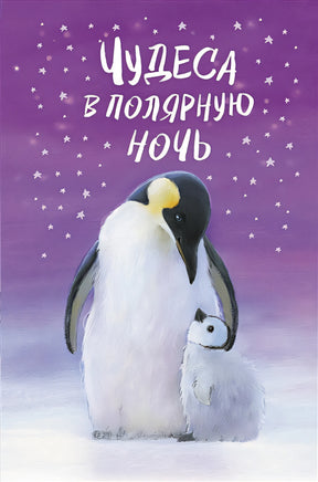 Обложка Чудеса в полярную ночь 978-5-04-116467-6