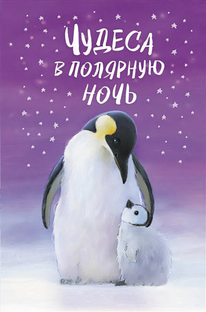 Обложка Чудеса в полярную ночь 978-5-04-116467-6
