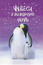 Обложка Чудеса в полярную ночь 978-5-04-116467-6