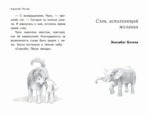 Чудеса в полярную ночь 978-5-04-116467-6 - 4