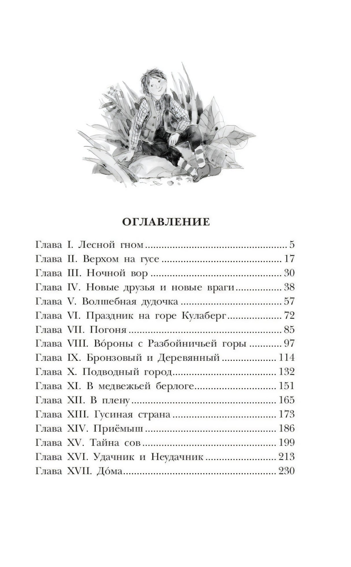 Чудесное путешествие Нильса с дикими гусями 9785171333614