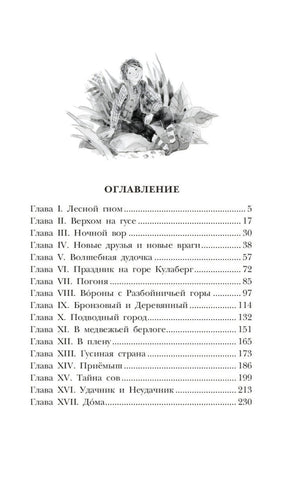 Чудесное путешествие Нильса с дикими гусями 9785171333614