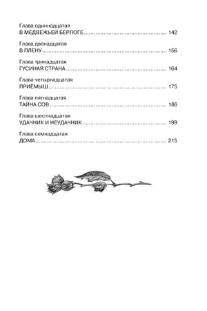 Продолжение содержания с главами 11–17 и декоративной веткой