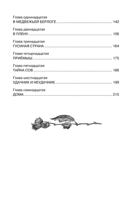 Продолжение содержания с главами 11–17 и декоративной веткой