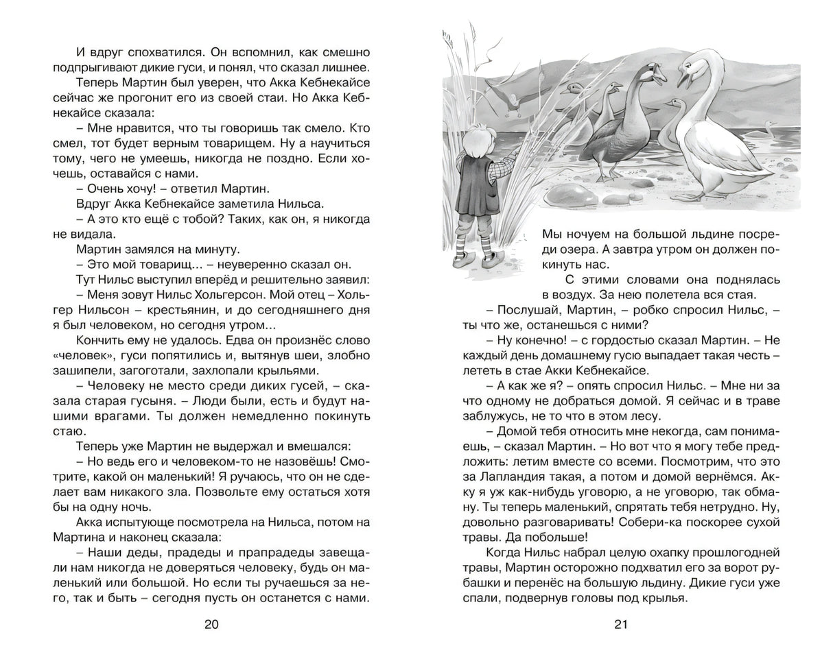 Разворот страниц 20–21 с текстом и рисунком Нильса у диких гусей