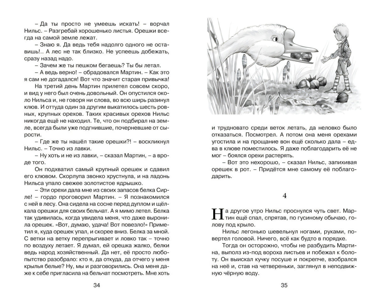 Разворот страниц 34–35 с текстом и рисунком Нильса и Мартина у орехов