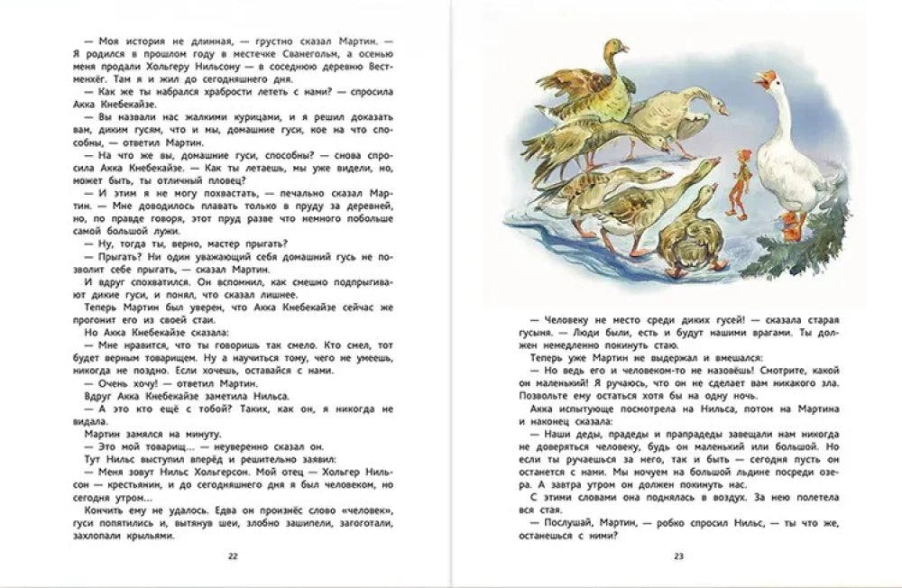 Разворот страниц 22–23 с текстом и иллюстрацией Нильса среди гусей