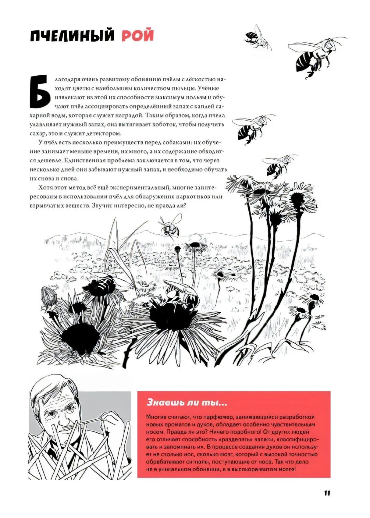 Детектив Интригулис и похищение Мими ISBN 978-5-4461-4108-1 9785446141081