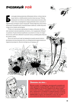 Детектив Интригулис и похищение Мими ISBN 978-5-4461-4108-1 9785446141081