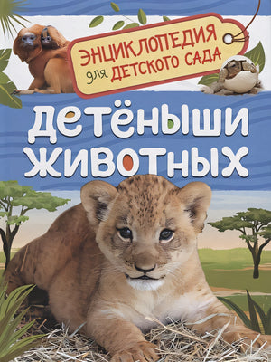 Обложка Детеныши животных 978-5-353-09339-8