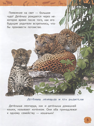 Детеныши животных 978-5-353-09339-8 - 4