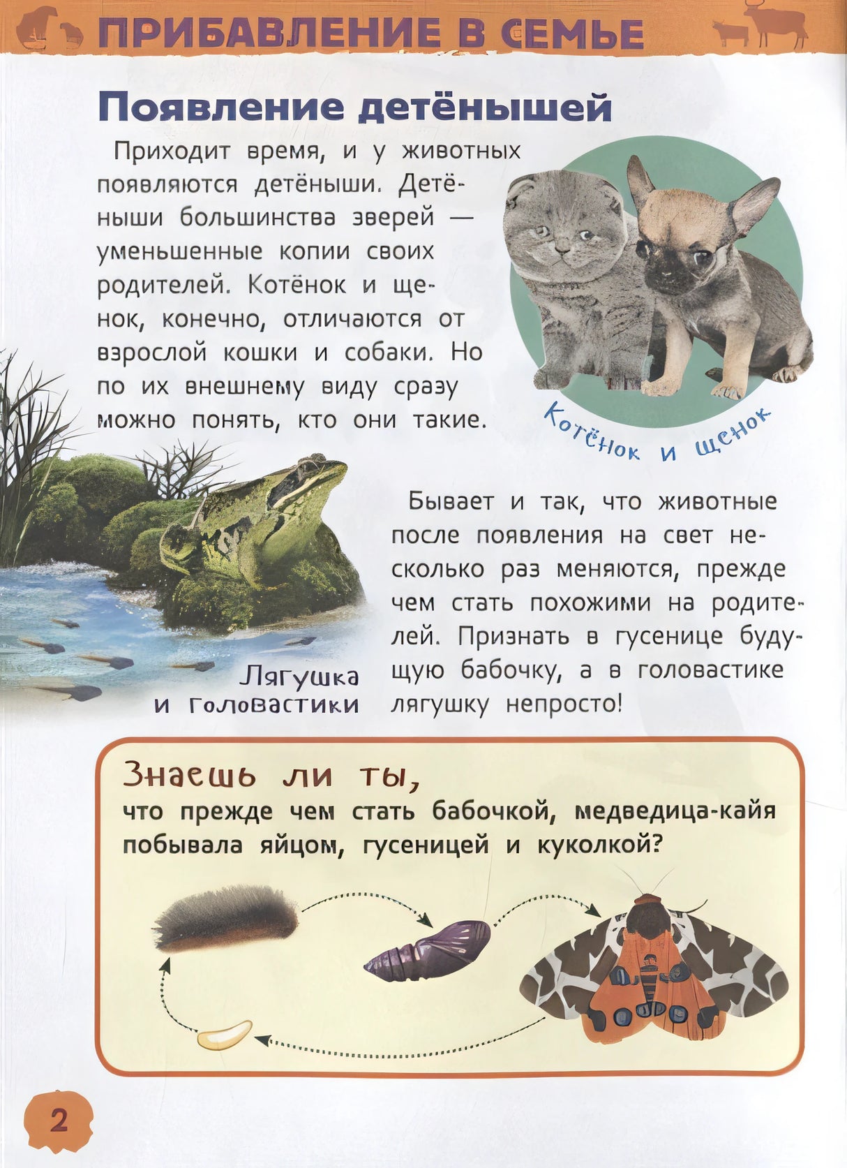 Детеныши животных 978-5-353-09339-8 - 1
