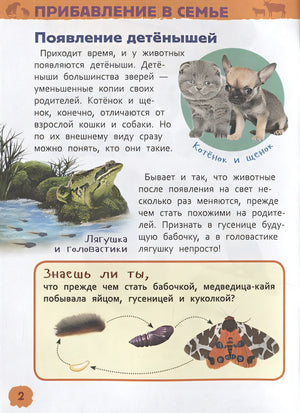 Детеныши животных 978-5-353-09339-8 - 1
