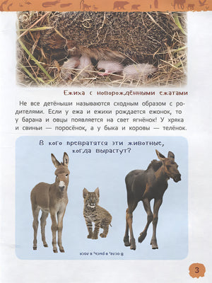 Детеныши животных 978-5-353-09339-8 - 2