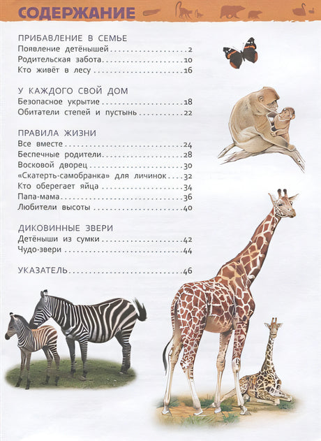 Детеныши животных 978-5-353-09339-8 - 0