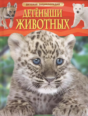 Детеныши животных. Детская энциклопедия 978-5-353-06868-6 - 0
