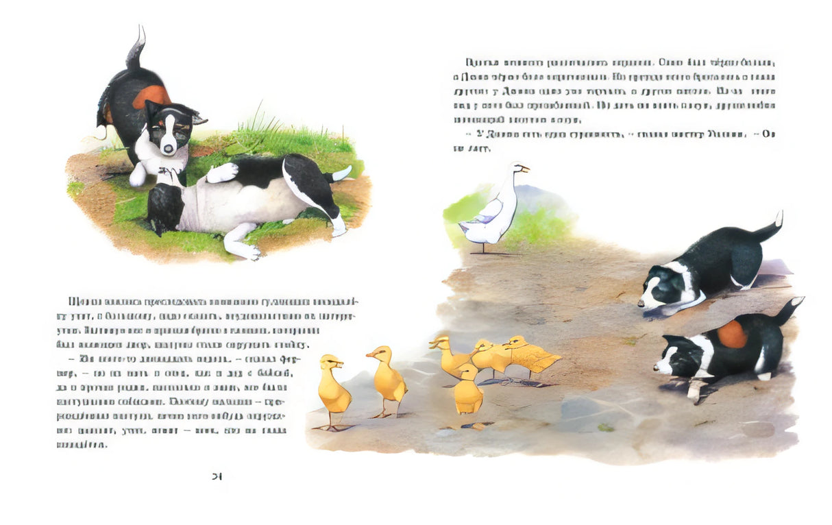 Детям. Рассказы о животных. От автора книги "О всех созданиях - больших и малых" 978-5-389-17704-8 - 6