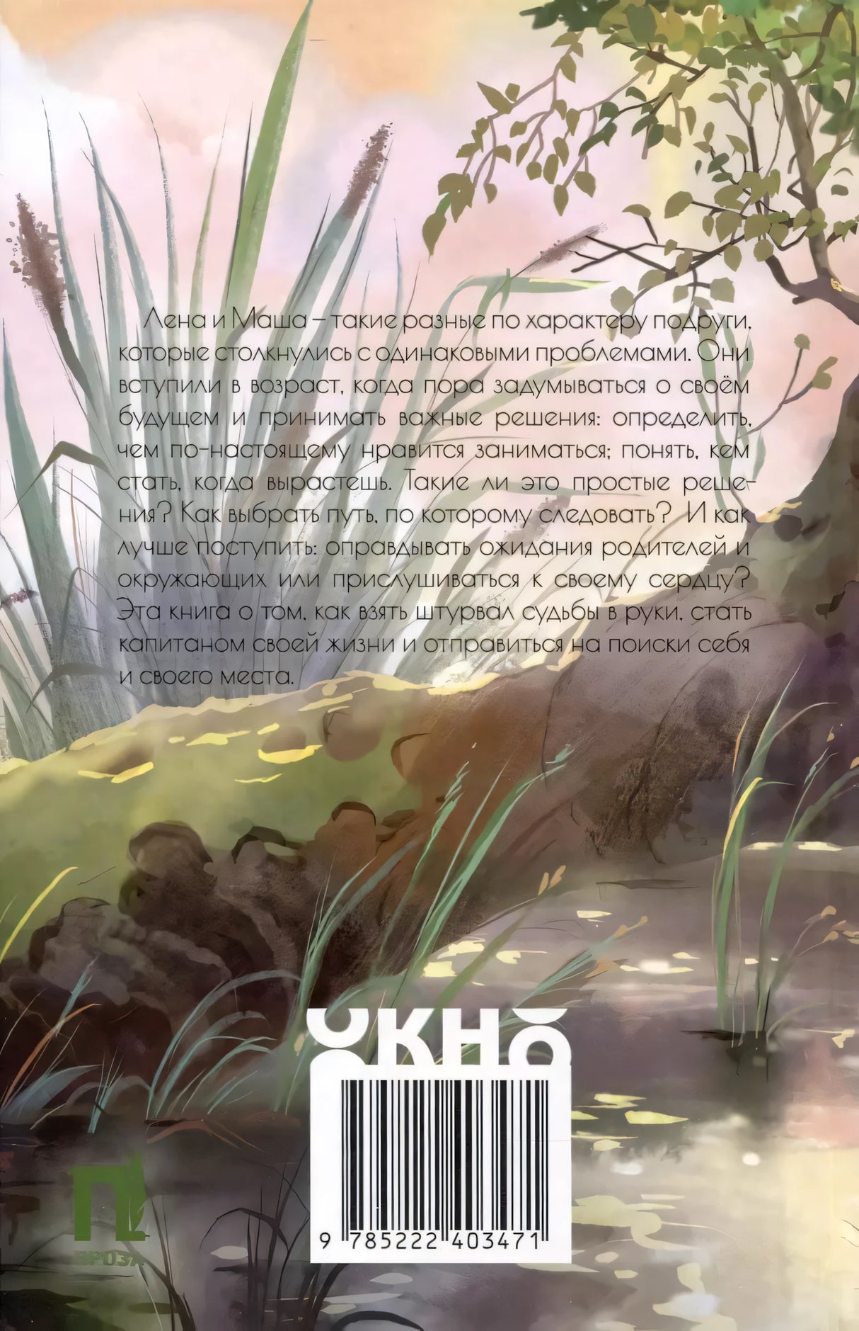 Девочка-капитан: история о том, куда зовет сердце 9785222427323