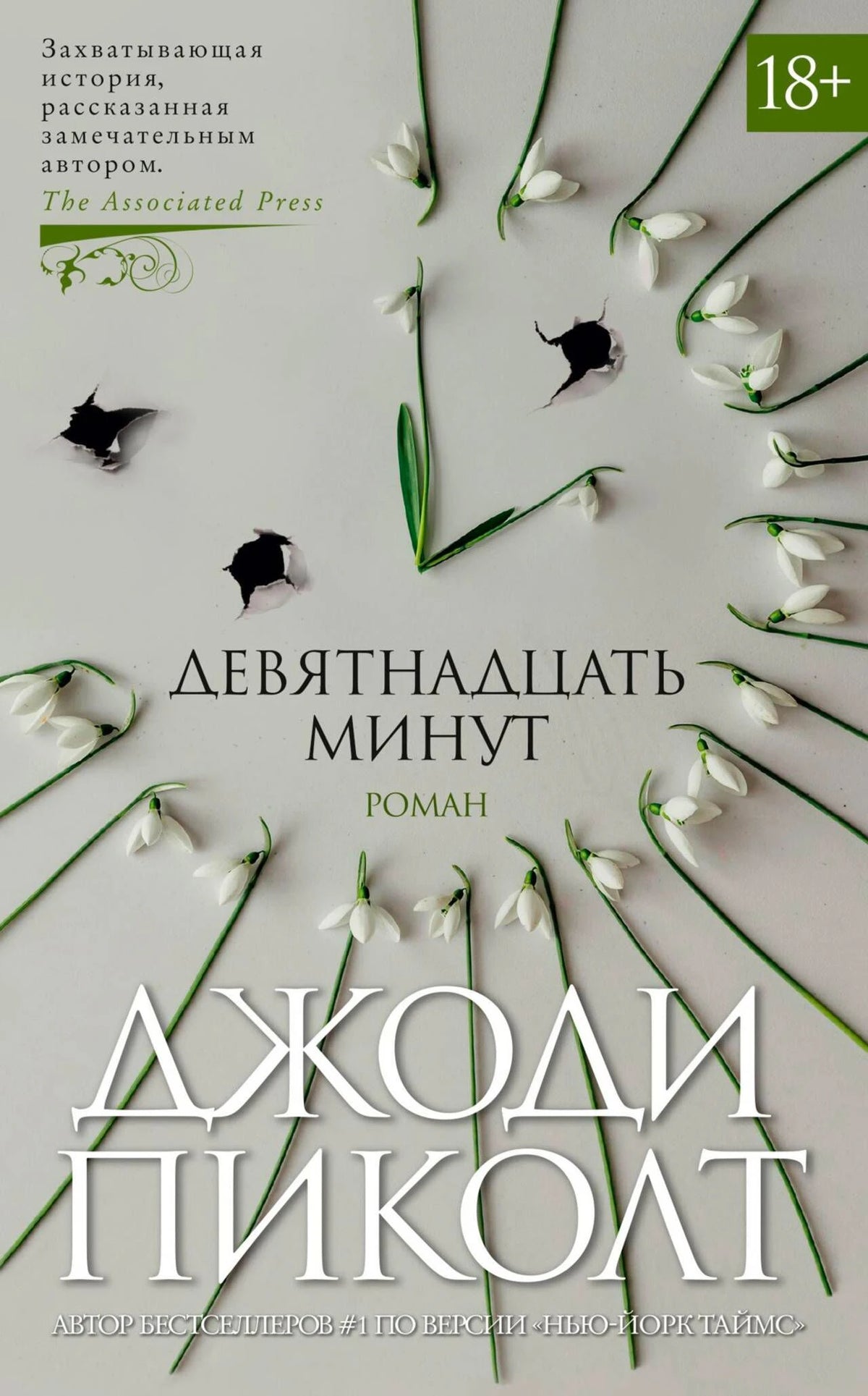 Обложка романа Джоди Пиколт «Девятнадцать минут» с подснежниками и пробоинами.