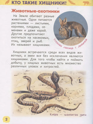 Страница Кто такие хищники: лисица с добычей и кобра