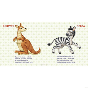 Кенгуру и зебра - страница из книги "Дикие животные". Книга-картонка для малышей.