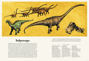Завроподы - иллюстрация из книги "Динозавриум"
